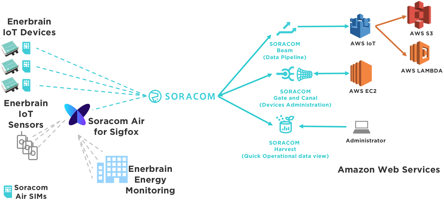 Enerbrain