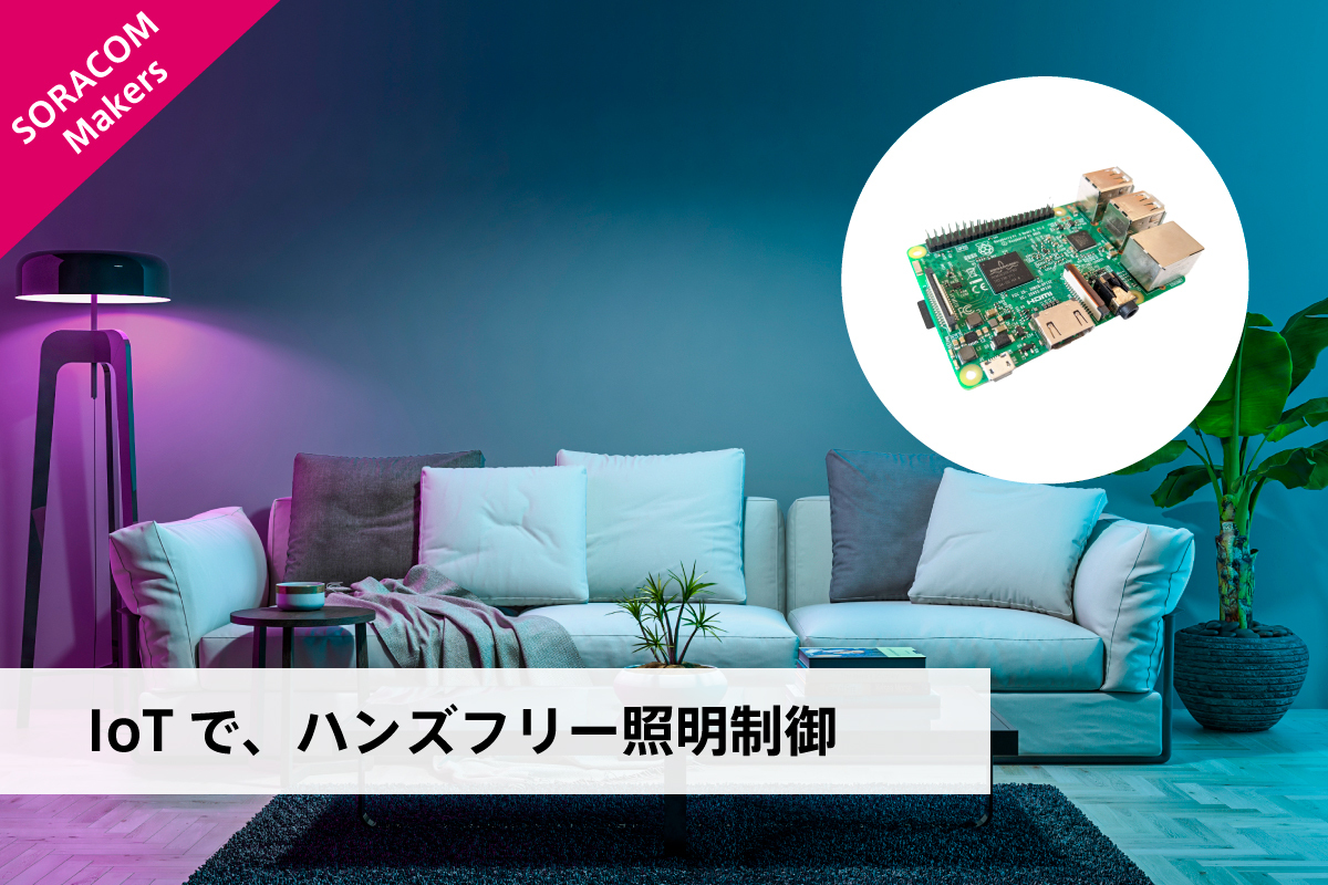 安い raspberry pi 照明