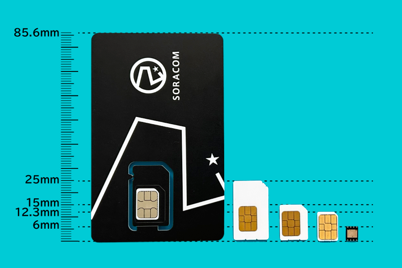 カード型SIM(左)とチップ型SIM(右)