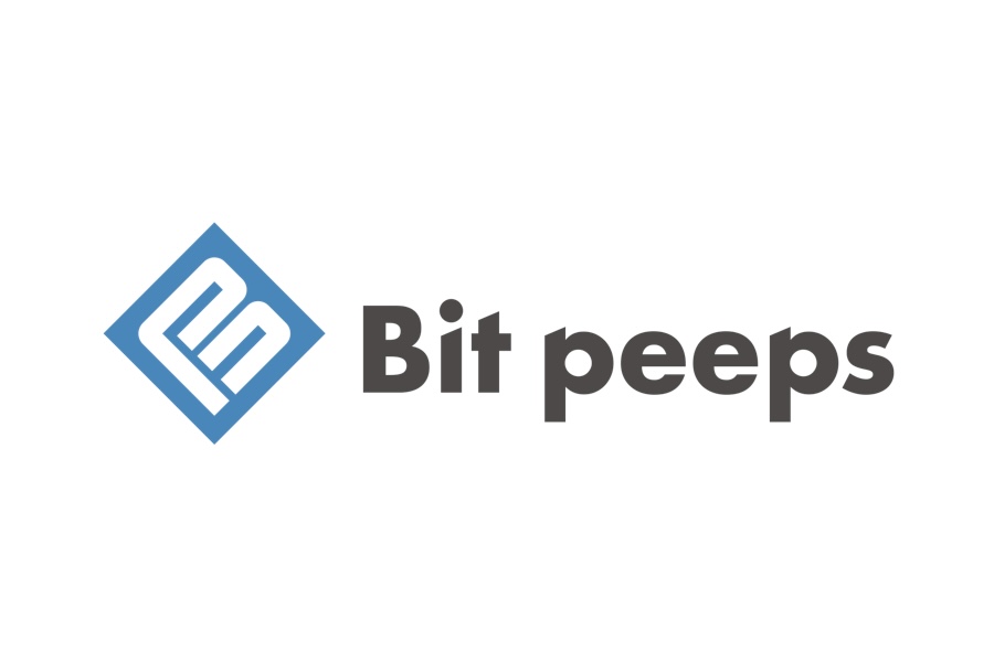 株式会社Bit peeps